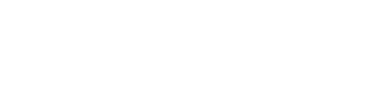 DEWI39
